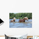 Nice Haflingers Water Wall Decal