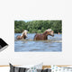 Nice Haflingers Water Wall Decal