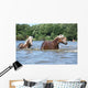 Nice Haflingers Water Wall Decal