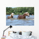 Nice Haflingers Water Wall Decal