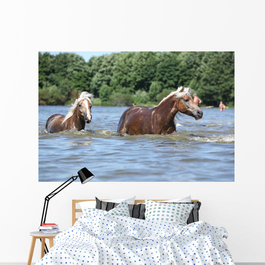 Nice Haflingers Water Wall Decal