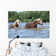 Nice Haflingers Water Wall Decal