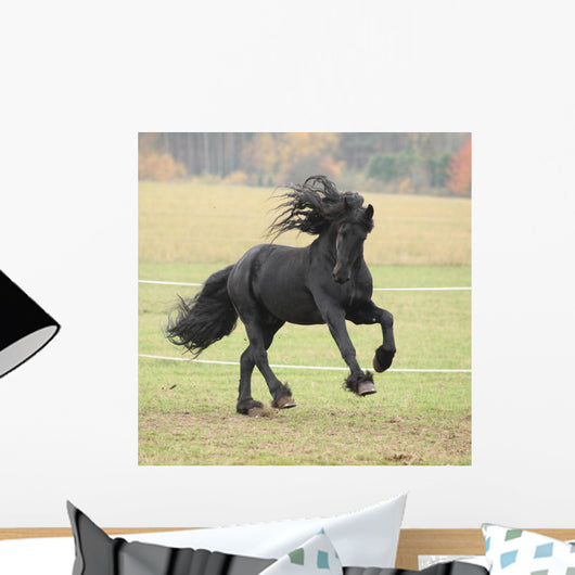 Running Friesian Stallion Wall Decal