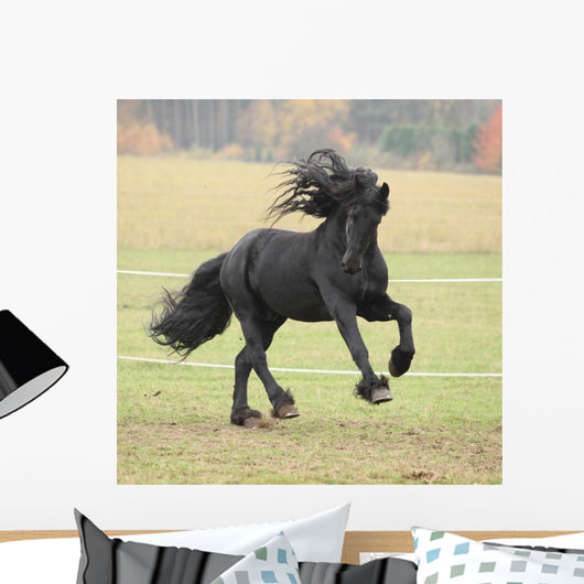 Running Friesian Stallion Wall Decal