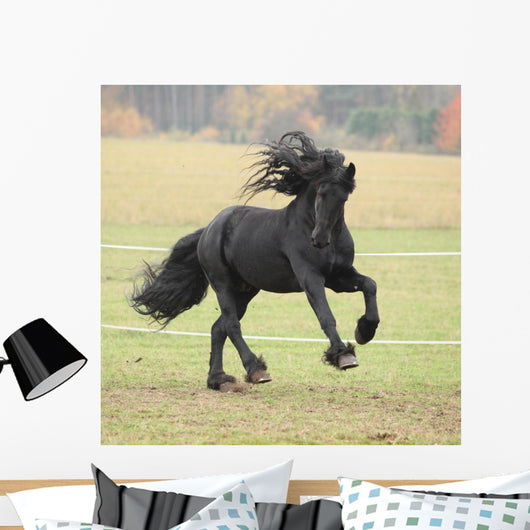 Running Friesian Stallion Wall Decal