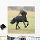 Running Friesian Stallion Wall Decal