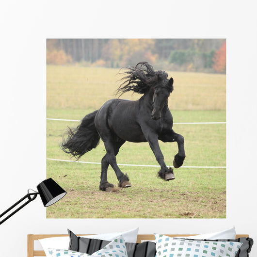 Running Friesian Stallion Wall Decal