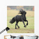 Running Friesian Stallion Wall Decal