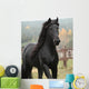 Gorgeous Friesian Stallion Wall Decal
