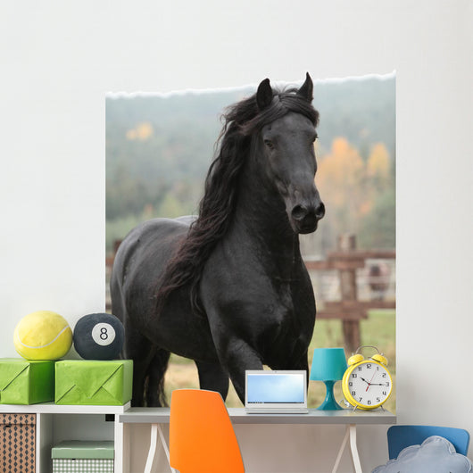 Gorgeous Friesian Stallion Wall Decal