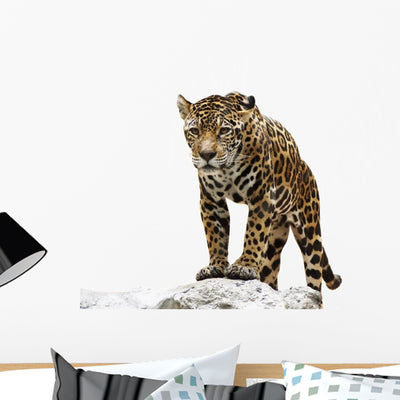 Standing Rock Leopard Wall Decal shown on a wall