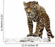 Standing Rock Leopard Wall Decal