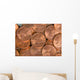 Us Coins Wall Decal