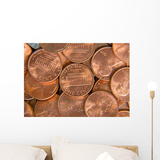 Us Coins Wall Decal