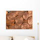 Us Coins Wall Decal