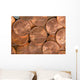 Us Coins Wall Decal