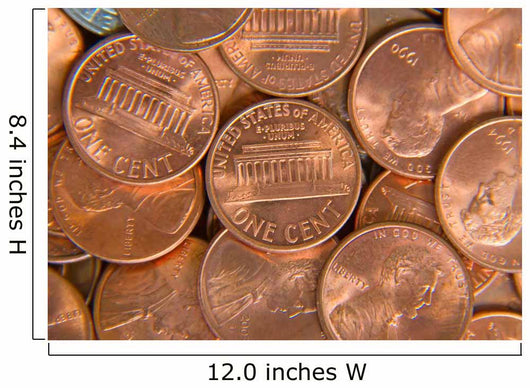 Us Coins Wall Decal
