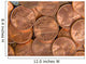 Us Coins Wall Decal
