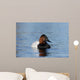 Canvasback Aythya Valisineria Wall Decal