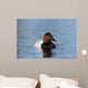 Canvasback Aythya Valisineria Wall Decal
