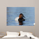 Canvasback Aythya Valisineria Wall Decal