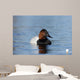 Canvasback Aythya Valisineria Wall Decal