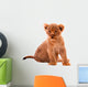 Cute Lion Cub Wall Decal