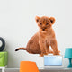 Cute Lion Cub Wall Decal