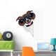 Binoculars Dog Wall Decal