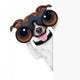 Binoculars Dog Wall Decal