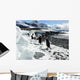Gentoo Penguins Beach Antarctica Wall Decal