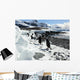 Gentoo Penguins Beach Antarctica Wall Decal