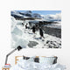 Gentoo Penguins Beach Antarctica Wall Decal