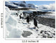 Gentoo Penguins Beach Antarctica Wall Decal