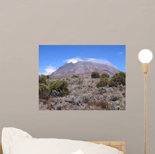 Mount Kilimanjaro from Marangu Wall Decal