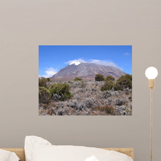 Mount Kilimanjaro from Marangu Wall Decal