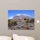Mount Kilimanjaro from Marangu Wall Decal