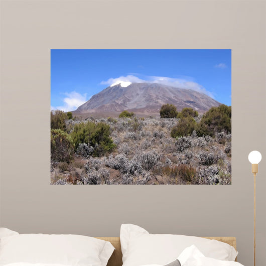 Mount Kilimanjaro from Marangu Wall Decal