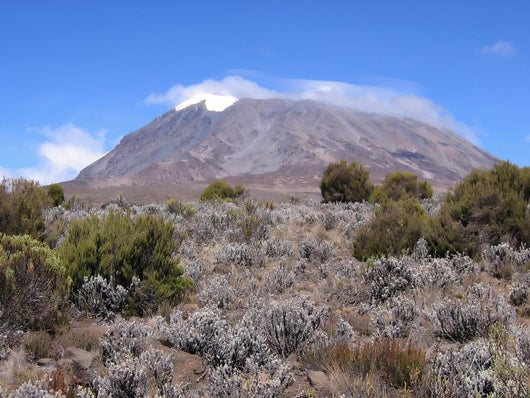 Mount Kilimanjaro from Marangu Wall Decal