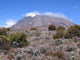 Mount Kilimanjaro from Marangu Wall Decal