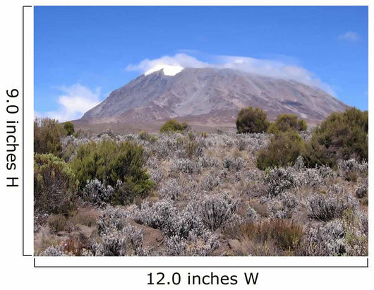 Mount Kilimanjaro from Marangu Wall Decal