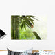 Bamboo Water Fountain Wall Decal
