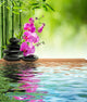 Pink Orchid Black Stone Wall Decal