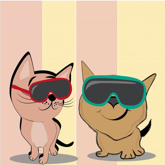 Cat with Glasses Wall Decal