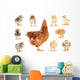 Family Mama Chicken Wall Stickers Wall Decal