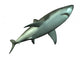Shark Wall Decal