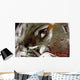 Graffito Wall Decal