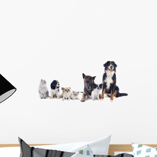 Dogs and Cats Wall Decal