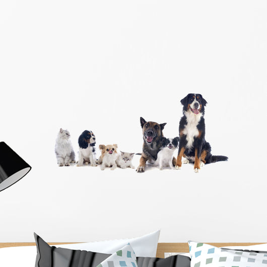 Dogs and Cats Wall Decal