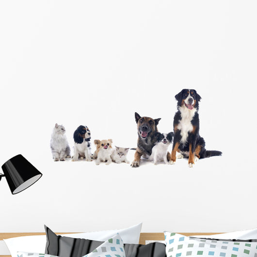Dogs and Cats Wall Decal